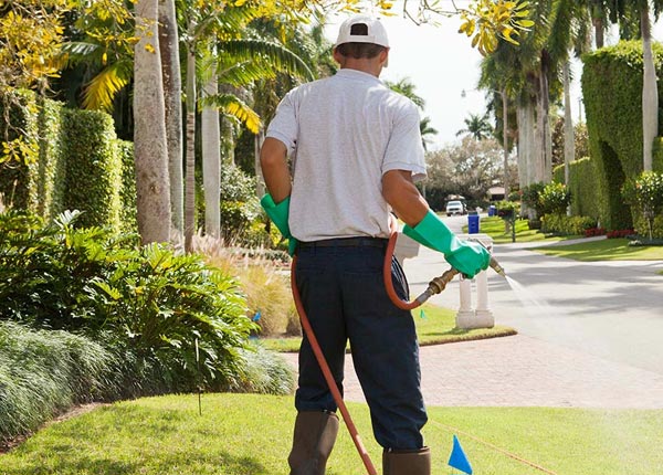 About Vienna MO Pest Control